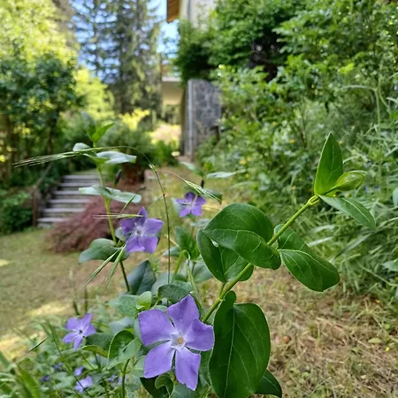 アパート La Casa Di Nonna Angela *