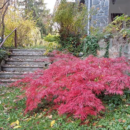 La Casa Di Nonna Angela Апартаменты Сасселло