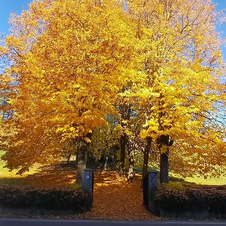 La Casa Di Nonna Angela 아파트