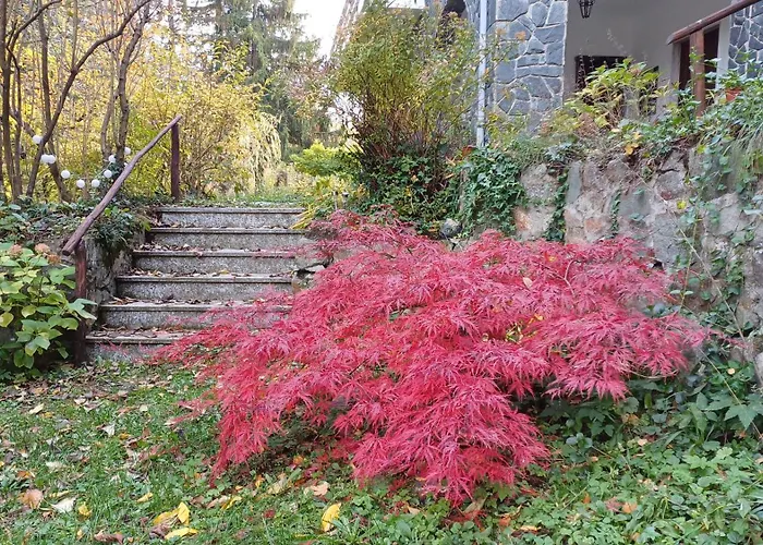 La Casa Di Nonna Angela Апартаменты Сасселло